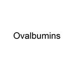 Ovalbumins