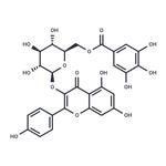 Kaempferol 3-O-(6''-galloyl)-beta-D-glucopyranoside