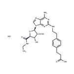 CGS 21680 Hydrochloride