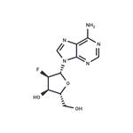 2'-Fluoro-2'-Deoxyadenosine