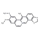 Dehydrocavidine