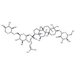 Gynostemma Extract