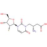 2’-Deoxy-2’-fluoro- N3-(2S)-(2-amino-3-carbonyl)-propyluridine