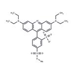 Sulforhodamine B sodium salt