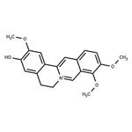 Jatrorrhizine