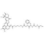 GGFG-amide-glycol-amide-Exatecan