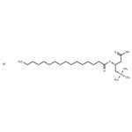 L-Palmitoylcarnitine chloride