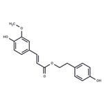 P-Hydroxyphenethyl trans-ferulate