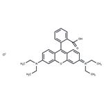 81-88-9 Rhodamine B