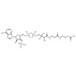 Acetyl coenzyme A