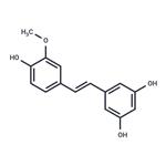 Isorhapontigenin