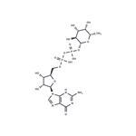 GDP-L-fucose