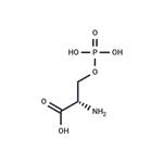 O-Phospho-L-serine