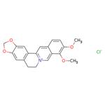 Berberine Chloride