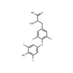 L-Thyroxine