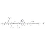 Urechistachykinin I acetate(149097-03-0 free base)