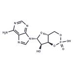 60-92-4 Cyclic AMP