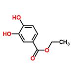 Ethyl 3,4-dihydroxybenzoate