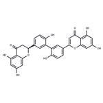 2'',3''-Dihydro-3',3'''-biapigenin