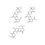 1403-66-3 Gentamicin