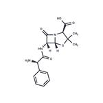 69-53-4 Ampicillin