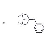 3-phenoxy-8-azabicyclo[3.2.1]octane HCl