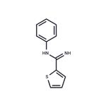 N-phenylthiophene-2-carboximidamide