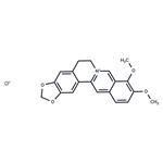 633-65-8 Berberine chloride