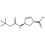 (1s,4r)-4-{[(tert-butoxy)carbonyl]amino}cyclopent-2-ene-1-carboxylic acid