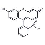 Fluorescein