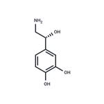 51-41-2 Norepinephrine