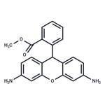 Dihydrorhodamine 123