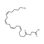 N-Arachidonylglycine