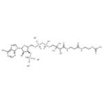 Acetyl Coenzyme A trisodium