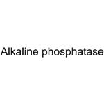 Alkaline Phosphatase