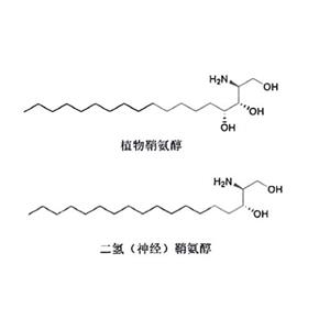 Phytosphingosine/sphinganine