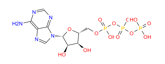 Adenosine triphosphate