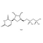 Uridine-5'-diphosphate disodium salt