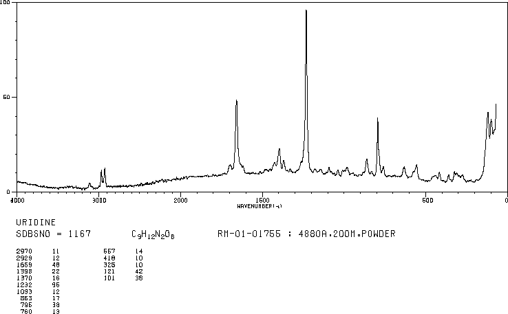 Uridine(58-96-8) Raman