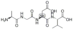 A-G-D-V Struktur