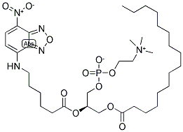 2-(6-(7-NITROBENZ-2-OXA-1,3-DIAZOL-4-YL)AMINO)HEXANOYL-1-HEXADECANOYL-SN-GLYCERO-3-PHOSPHOCHOLINE Struktur