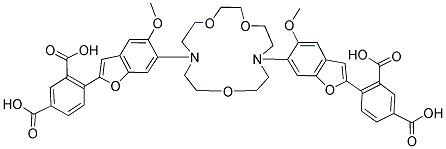 SBFI, TETRAAMMONIUM SALT Struktur