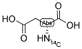 N-METHYL-D-ASPARTIC ACID, [METHYL-14C] Struktur