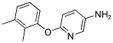 5-AMINO-2-(2,3-DIMETHYLPHENOXY)PYRIDINE Struktur