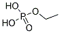 ETHYLPHOSPHORIC ACID