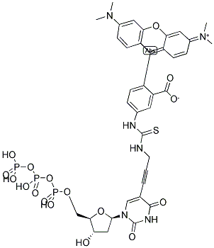 TETRAMETHYLRHODAMINE-6-DDUTP Struktur