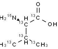 L-バリン(U-13C5; 15N) 化學(xué)構(gòu)造式