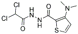 N'2-(2,2-DICHLOROACETYL)-3-(DIMETHYLAMINO)THIOPHENE-2-CARBOHYDRAZIDE Struktur