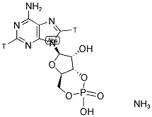 CYCLIC AMP, [2,8-3H], AMMONIUM SALT Struktur