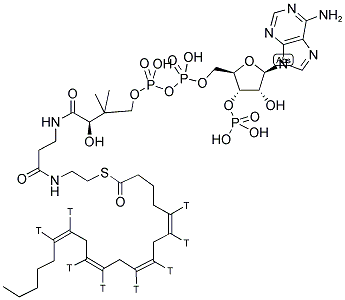 ARACHIDONYL COENZYME A, [ARACHIDONYL-5,6,8,9,11,12,14,15-3H(N)] Struktur